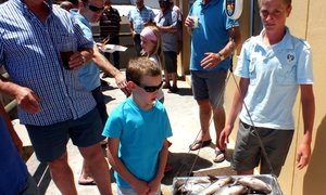 Birkenheaders spook steeds